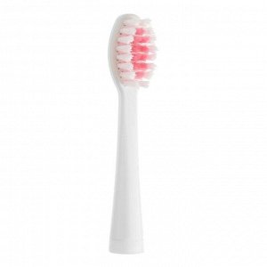 Электрическая зубная щётка Seago SG-920, 24000 уд/мин, таймер, +насадка, от 1хААА, розовая