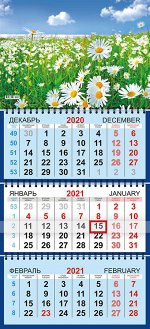 Квартальный календарь на 2021 год &quot;Ромашки на лугу&quot;
