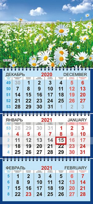 Квартальный календарь на 2021 год "Ромашки на лугу"