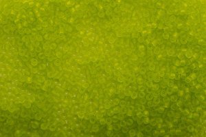 Бисер японский TOHO круглый 11/0 #0004F зеленый лайм, матовый прозрачный, 10 грамм