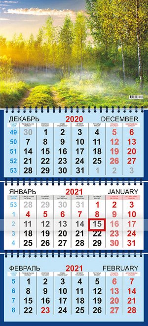 Квартальный календарь на 2021 год "Природа"