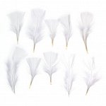 Набор перьев для декора 10 шт., размер 1 шт: 10 - 4 см, цвет белый