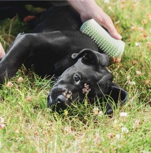 Расческа для животных (кошек и собак) Pet Teezer Detangling Puppy Brush