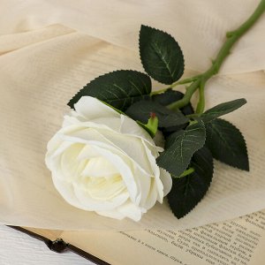 Цветы искусственные "Роза венесуэльская"  8*23 см, белая