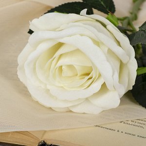 Цветы искусственные "Роза венесуэльская"  8*23 см, белая