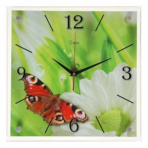 Часы настенные, серия: Животный мир, &quot;Бабочка&quot;, 35х35 см