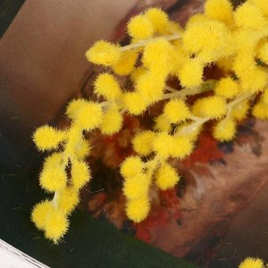 Цветы искусственные "Мимоза" жёлтая