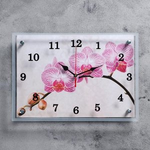 Часы настенные, серия: Цветы, "Веточка орхидеи", 25х35 см
