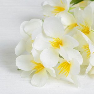Цветы искусственные "Цинерария" 6*85 см, белая
