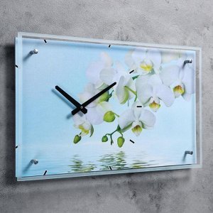 Часы настенные, серия: Цветы, &quot;Белые цветы у воды&quot;, 35х60  см, в ассортименте
