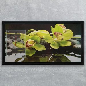 Часы-картина настенные, серия: Цветы, "Зеленые орхидеи", 50х100  см, в ассортименте