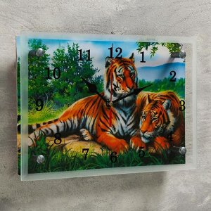 Часы настенные. серия: Животный мир. "Тигры". 20х30  см. микс