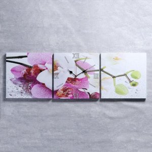 Часы настенные, модульные, серия: Цветы, "Орхидеи", 35х110 см
