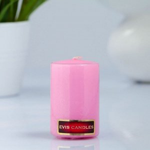 Свеча- цилиндр, парафиновая, светло-розовая, 4?6 см