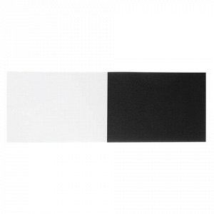 Папка для эскизов/планшет А4 210х297 мм, 30 листов, 2 цвета, 160 г/м2, твердая подложка, "Черный и белый", ПЛ-0304