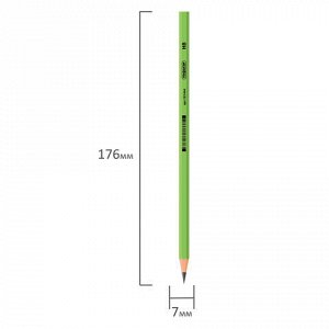 Карандаш чернографитный ПИФАГОР, 1 шт., НВ, пластиковый, корпус салатовый, 181444