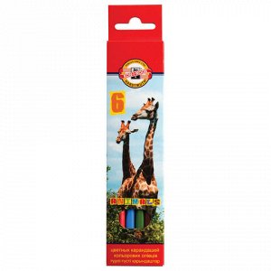 Карандаши цветные KOH-I-NOOR "Animals", 6 цветов, грифель 2,8 мм, заточенные, европодвес, 3551/6, 3551006008KSRU