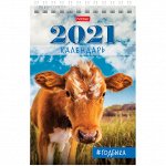Календарь-домик 105*160мм, &quot;Стандарт&quot; - Год Быка, на гребне, 2021г