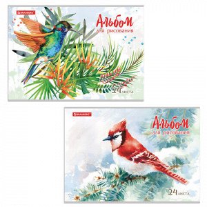 Альбом для рисования А4 24 л., скоба, обложка картон, BRAUBERG, 202х285 мм, “Райские птички“ (2 вида), 105609
