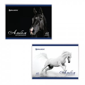 Альбом для рисования, А4, 40 л., обложка картон, BRAUBERG “Благородные кони“, 103728