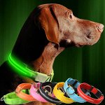 🐶 Зоотовары. Быстрая закупка