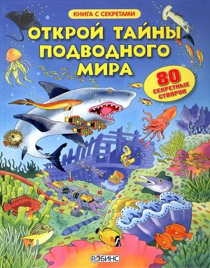 Книга с секретами