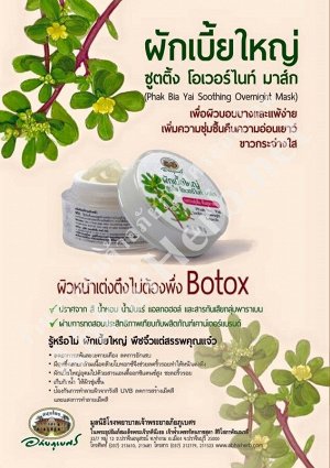 Phak Bia Yai Soothing Overnight Mask