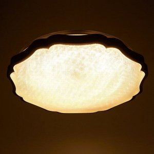 Люстра с ПДУ 2821 80Вт LED d=50 см