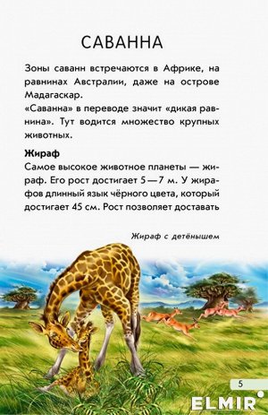 Мини-энциклопедии - Экзотические животные