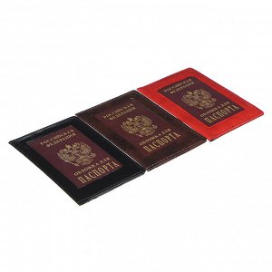 PAVO Обложка для паспорта с окном, ПВХ, 10х14см, 2-3 цвета