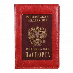 PAVO Обложка для паспорта с окном, ПВХ, 10х14см, 2-3 цвета