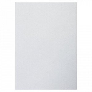 Картон белый А4 МЕЛОВАННЫЙ (глянцевый), 25 листов, BRAUBERG, 210х297 мм, 124021