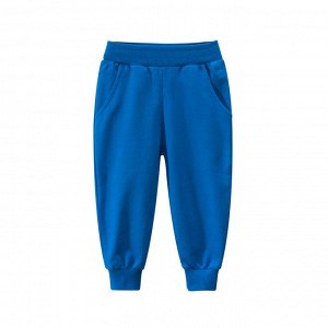 Спортивные брюки Синий