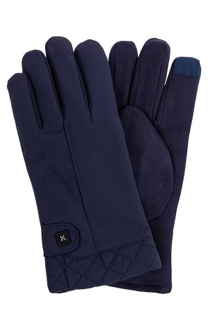 Утепленные перчатки мужские, цвет синий