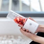 Блендер Xiaomi Mijia Pinlo Little Monster Cooking Machine 350мл MJLLJ01PL