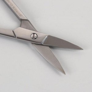 Ножницы маникюрные, прямые, широкие, 9 см, цвет серебристый, B-103-S-SH