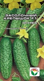 Огурец Засолочный Крепышок /Сиб Сад/цп