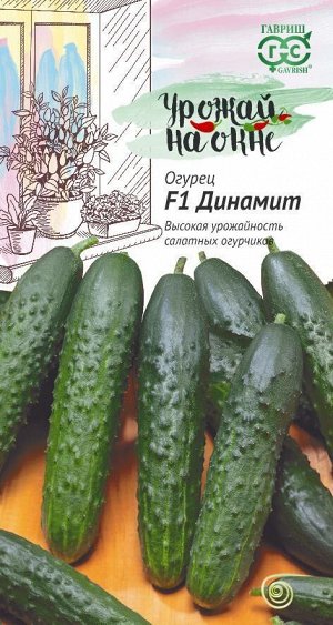 Огурец Динамит/Урожай на окне/Гавриш/цп 10 шт.