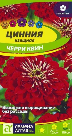 Цинния Черри Квин георгиноцветковая/Сем Алт/цп 0,2 гр.