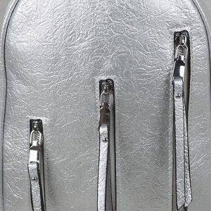 Рюкзак молодёжный, отдел на молнии, наружный карман, цвет серебро