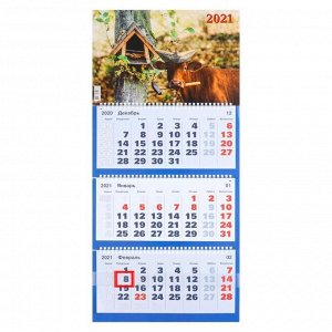 Календари квартальные трио "Символ года, 2021  - 27" 31 х 69 см