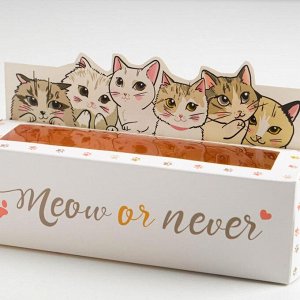 Коробочка для макарун «Meow or never», 18 х 5,5 х 5,5 см