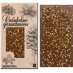 13.60.45 Шоколад &quot;Шоколадные деликатесы&quot; Молочный с облепихой и кунжутом 80г*8шт