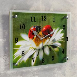 Часы настенные, серия: Цветы, "Божья коровка на ромашке" в ассортименте 25х35см