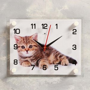 Часы настенные, серия: Животный мир, "Котенок", 20х26  см, в ассортименте