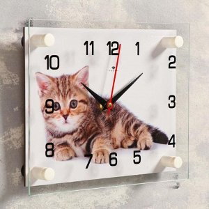 Часы-картина настенные, серия: Животный мир, "Котенок", плавный ход, 20 х 26 см
