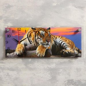 Часы-картина настенные, серия: Животный мир, "Тигр", 50х20 см  микс