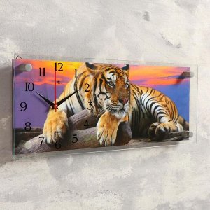 Часы-картина настенные, серия: Животный мир, "Тигр", 50х20 см  микс