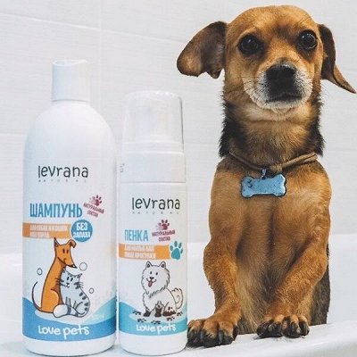 Товары для кошек купить. Совместные покупки на 100сп.