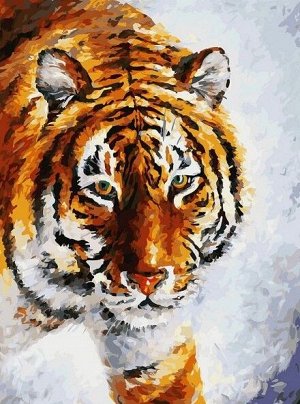 "Тигр на снегу" живопись на холсте 30*40см